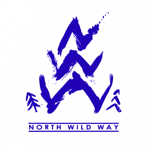 Зимний кросс "North Wild Way"