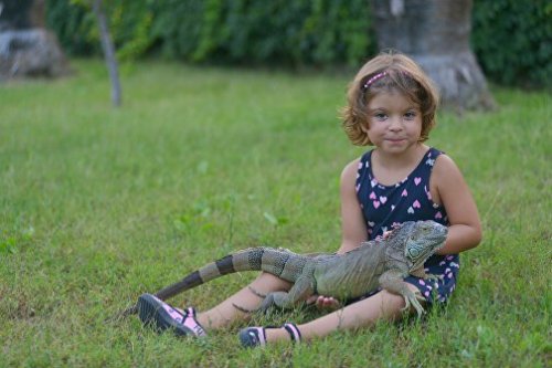 Пробіжи-допоможи. Благодійний забіг до Дня Святого Миколая