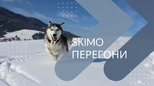 Skimo гонки «ДРАГОБРАТ Хат Рут»