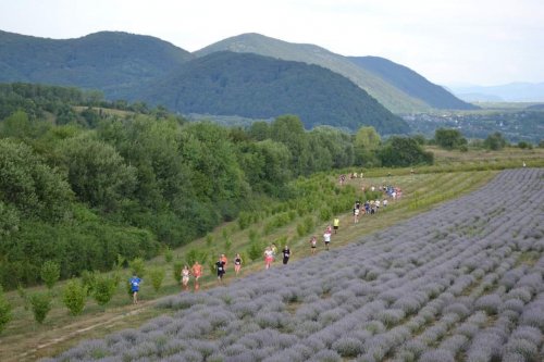 3rd Lavanda Run 2023
